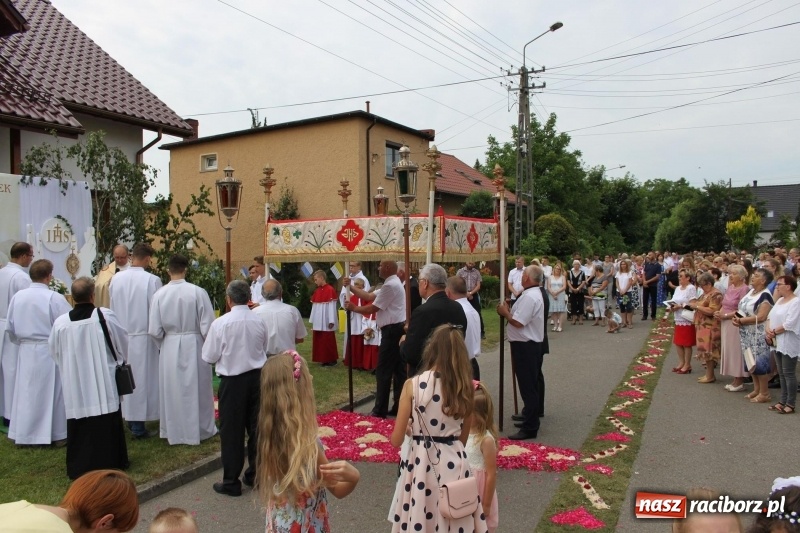 Zdjęcie w galerii na portalu naszraciborz.pl: Wojnowice. Pierwsze dywany pojawiły się tuż po czwartej rano  wiadomości z regionu