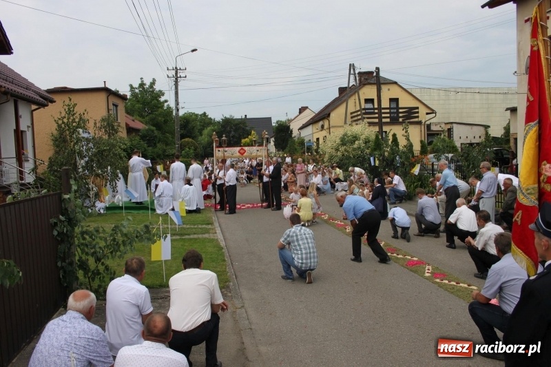 Zdjęcie w galerii na portalu naszraciborz.pl: Wojnowice. Pierwsze dywany pojawiły się tuż po czwartej rano  wiadomości z regionu