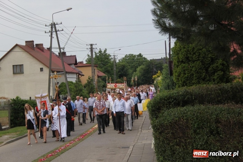 Zdjęcie w galerii na portalu naszraciborz.pl: Wojnowice. Pierwsze dywany pojawiły się tuż po czwartej rano  wiadomości z regionu