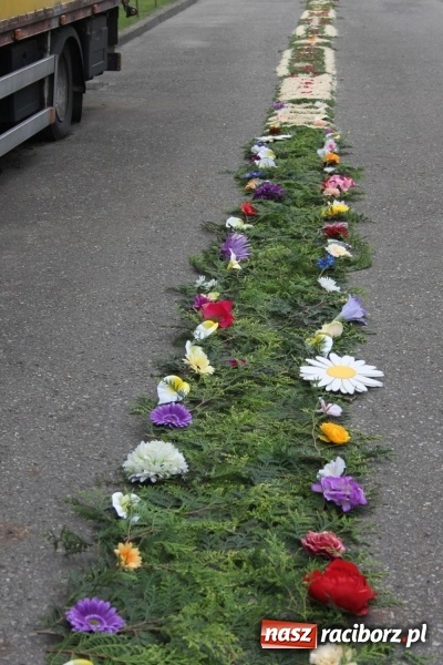 Zdjęcie w galerii na portalu naszraciborz.pl: Wojnowice. Pierwsze dywany pojawiły się tuż po czwartej rano  wiadomości z regionu