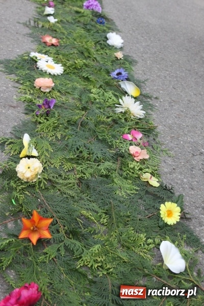 Zdjęcie w galerii na portalu naszraciborz.pl: Wojnowice. Pierwsze dywany pojawiły się tuż po czwartej rano  wiadomości z regionu