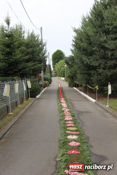 Zdjęcie w galerii na portalu naszraciborz.pl: Wojnowice. Pierwsze dywany pojawiły się tuż po czwartej rano  wiadomości z regionu