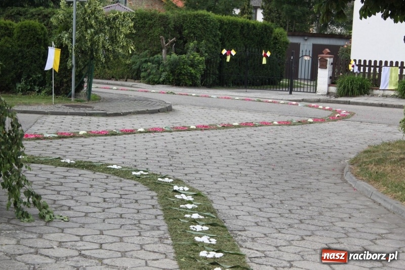 Zdjęcie w galerii na portalu naszraciborz.pl: Wojnowice. Pierwsze dywany pojawiły się tuż po czwartej rano  wiadomości z regionu