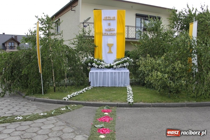 Zdjęcie w galerii na portalu naszraciborz.pl: Wojnowice. Pierwsze dywany pojawiły się tuż po czwartej rano  wiadomości z regionu