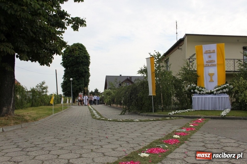 Zdjęcie w galerii na portalu naszraciborz.pl: Wojnowice. Pierwsze dywany pojawiły się tuż po czwartej rano  wiadomości z regionu