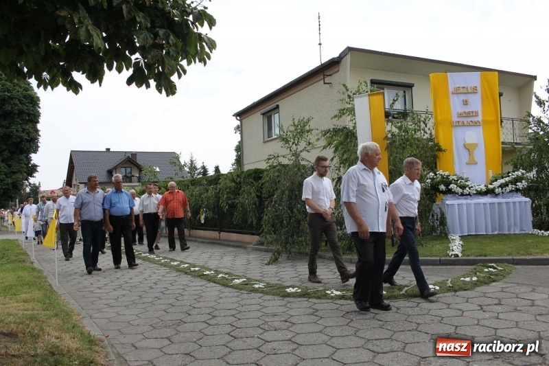 Zdjęcie w galerii na portalu naszraciborz.pl: Wojnowice. Pierwsze dywany pojawiły się tuż po czwartej rano  wiadomości z regionu
