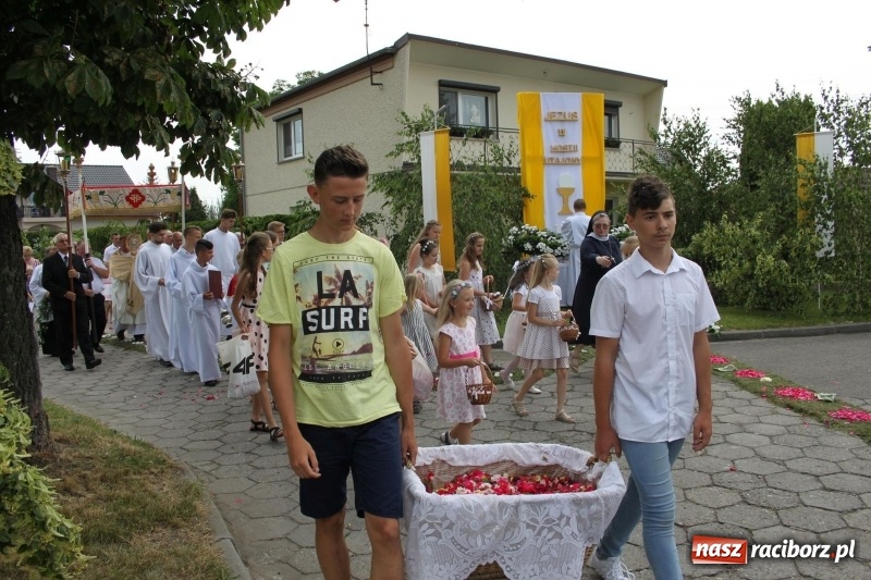 Zdjęcie w galerii na portalu naszraciborz.pl: Wojnowice. Pierwsze dywany pojawiły się tuż po czwartej rano  wiadomości z regionu