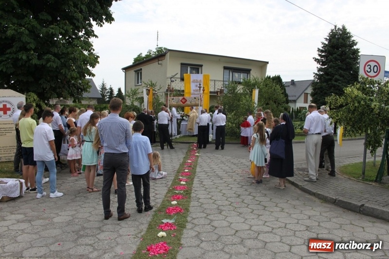 Zdjęcie w galerii na portalu naszraciborz.pl: Wojnowice. Pierwsze dywany pojawiły się tuż po czwartej rano  wiadomości z regionu
