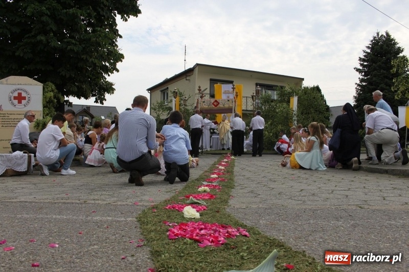 Zdjęcie w galerii na portalu naszraciborz.pl: Wojnowice. Pierwsze dywany pojawiły się tuż po czwartej rano  wiadomości z regionu