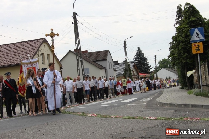 Zdjęcie w galerii na portalu naszraciborz.pl: Wojnowice. Pierwsze dywany pojawiły się tuż po czwartej rano  wiadomości z regionu
