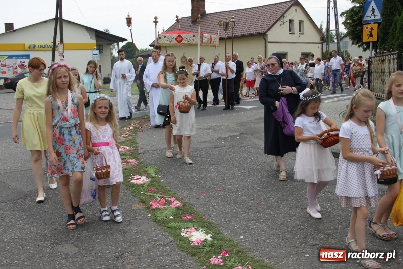 Zdjęcie w galerii na portalu naszraciborz.pl: Wojnowice. Pierwsze dywany pojawiły się tuż po czwartej rano  wiadomości z regionu