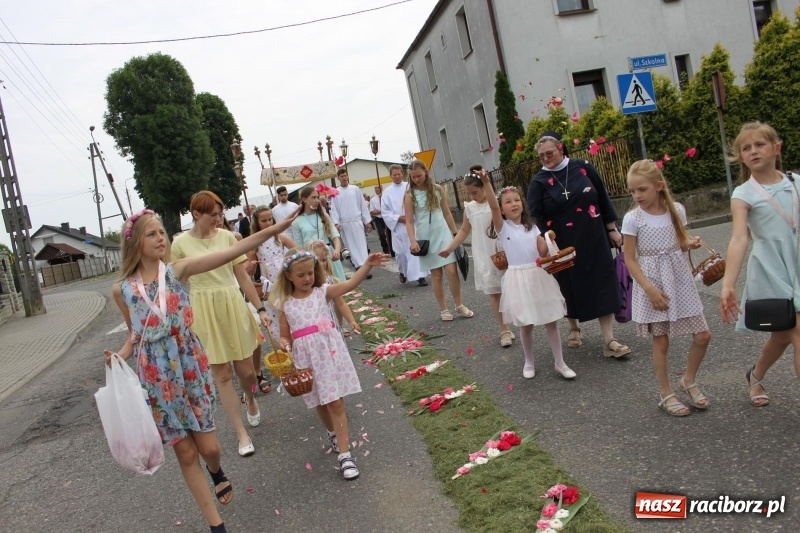 Zdjęcie w galerii na portalu naszraciborz.pl: Wojnowice. Pierwsze dywany pojawiły się tuż po czwartej rano  wiadomości z regionu