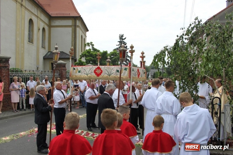 Zdjęcie w galerii na portalu naszraciborz.pl: Wojnowice. Pierwsze dywany pojawiły się tuż po czwartej rano  wiadomości z regionu