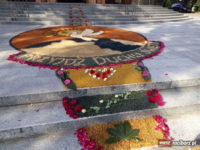 Zdjęcie w galerii na portalu naszraciborz.pl: Procesja na Nowych Zagrodach. Największa w Raciborzu [FOTO i WIDEO] wiadomości z regionu