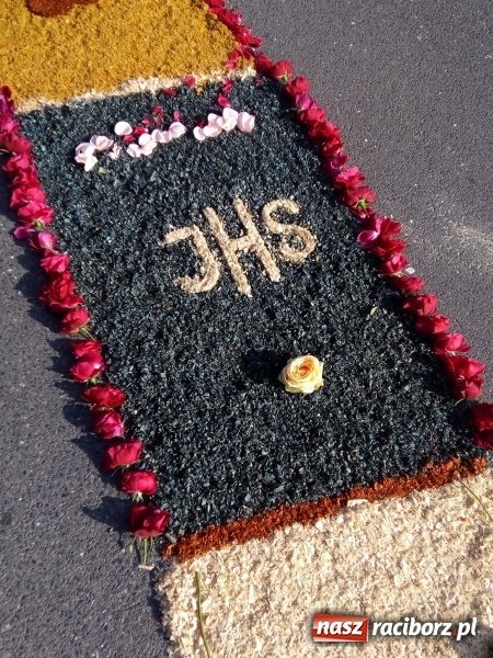 Zdjęcie w galerii na portalu naszraciborz.pl: Procesja na Nowych Zagrodach. Największa w Raciborzu [FOTO i WIDEO] wiadomości z regionu