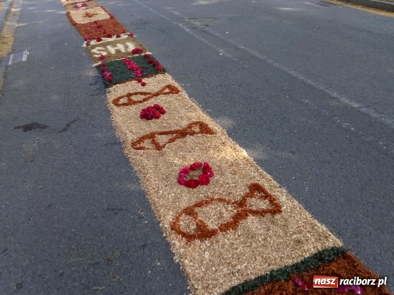 Zdjęcie w galerii na portalu naszraciborz.pl: Procesja na Nowych Zagrodach. Największa w Raciborzu [FOTO i WIDEO] wiadomości z regionu