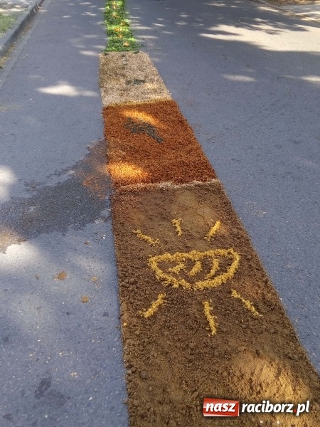 Zdjęcie w galerii na portalu naszraciborz.pl: Procesja na Nowych Zagrodach. Największa w Raciborzu [FOTO i WIDEO] wiadomości z regionu