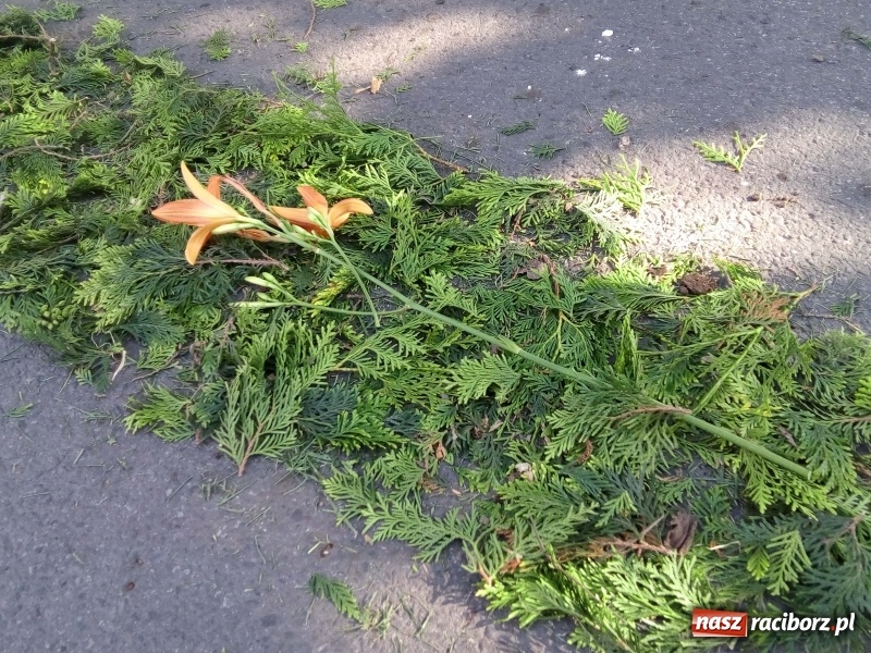 Zdjęcie w galerii na portalu naszraciborz.pl: Procesja na Nowych Zagrodach. Największa w Raciborzu [FOTO i WIDEO] wiadomości z regionu