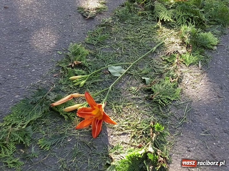 Zdjęcie w galerii na portalu naszraciborz.pl: Procesja na Nowych Zagrodach. Największa w Raciborzu [FOTO i WIDEO] wiadomości z regionu
