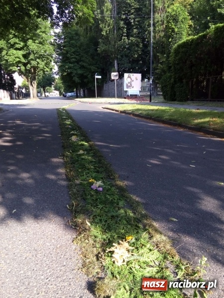Zdjęcie w galerii na portalu naszraciborz.pl: Procesja na Nowych Zagrodach. Największa w Raciborzu [FOTO i WIDEO] wiadomości z regionu