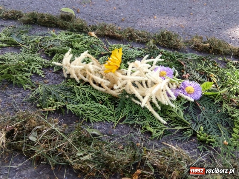 Zdjęcie w galerii na portalu naszraciborz.pl: Procesja na Nowych Zagrodach. Największa w Raciborzu [FOTO i WIDEO] wiadomości z regionu