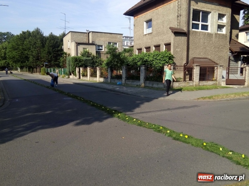Zdjęcie w galerii na portalu naszraciborz.pl: Procesja na Nowych Zagrodach. Największa w Raciborzu [FOTO i WIDEO] wiadomości z regionu