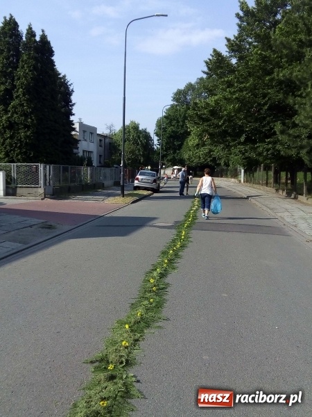Zdjęcie w galerii na portalu naszraciborz.pl: Procesja na Nowych Zagrodach. Największa w Raciborzu [FOTO i WIDEO] wiadomości z regionu