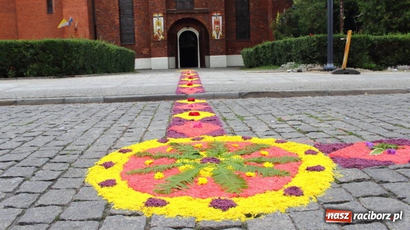Zdjęcie w galerii na portalu naszraciborz.pl: Cisi bohaterowie z parafii miejskiej  wiadomości z regionu