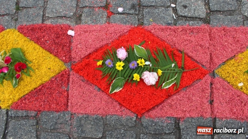 Zdjęcie w galerii na portalu naszraciborz.pl: Cisi bohaterowie z parafii miejskiej  wiadomości z regionu