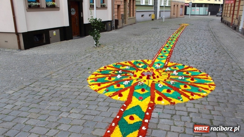 Zdjęcie w galerii na portalu naszraciborz.pl: Cisi bohaterowie z parafii miejskiej  wiadomości z regionu