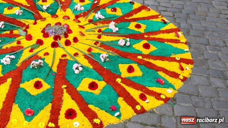 Zdjęcie w galerii na portalu naszraciborz.pl: Cisi bohaterowie z parafii miejskiej  wiadomości z regionu