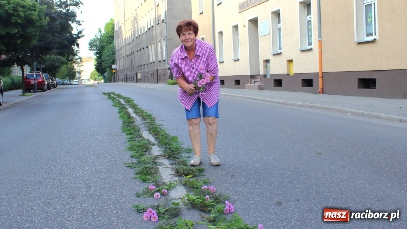 Zdjęcie w galerii na portalu naszraciborz.pl: Cisi bohaterowie z parafii miejskiej  wiadomości z regionu