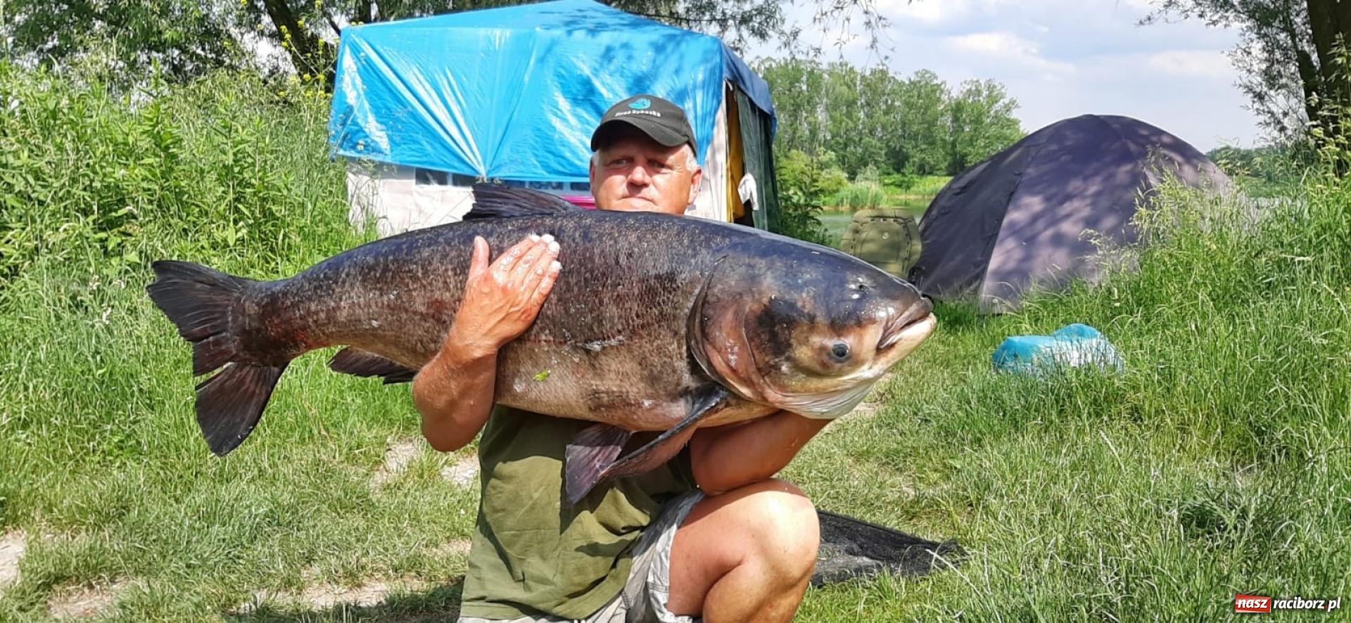 Zdjęcie w galerii na portalu naszraciborz.pl: Raciborzanin złowił w Nieboczowach ogromną tołpygę  wiadomości z regionu