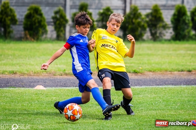Zdjęcie w galerii na portalu naszraciborz.pl: Tworków Cup 2019. Zmagania rocznika 2009 wiadomości z regionu