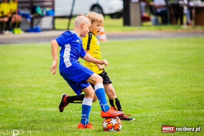 Zdjęcie w galerii na portalu naszraciborz.pl: Tworków Cup 2019. Zmagania rocznika 2009 wiadomości z regionu