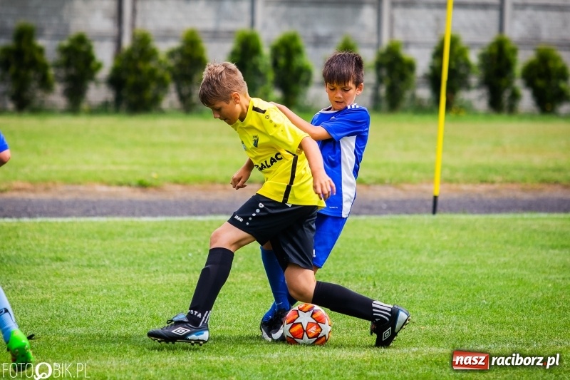 Zdjęcie w galerii na portalu naszraciborz.pl: Tworków Cup 2019. Zmagania rocznika 2009 wiadomości z regionu