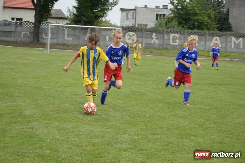 Zdjęcie w galerii na portalu naszraciborz.pl: Tworków Cup 2019. Zmagania rocznika 2009 wiadomości z regionu