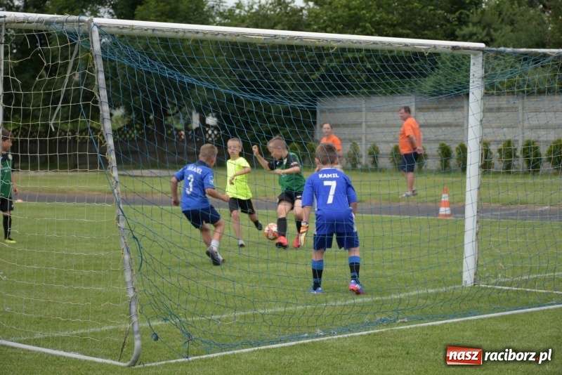 Zdjęcie w galerii na portalu naszraciborz.pl: Tworków Cup 2019. Zmagania rocznika 2009 wiadomości z regionu