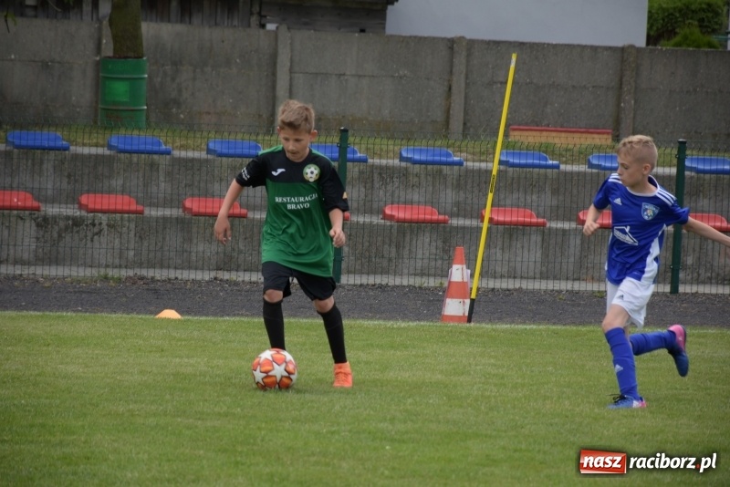 Zdjęcie w galerii na portalu naszraciborz.pl: Tworków Cup 2019. Zmagania rocznika 2009 wiadomości z regionu