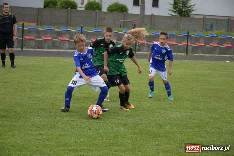 Zdjęcie w galerii na portalu naszraciborz.pl: Tworków Cup 2019. Zmagania rocznika 2009 wiadomości z regionu