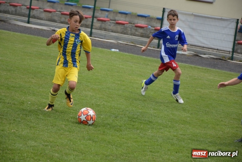 Zdjęcie w galerii na portalu naszraciborz.pl: Tworków Cup 2019. Zmagania rocznika 2009 wiadomości z regionu