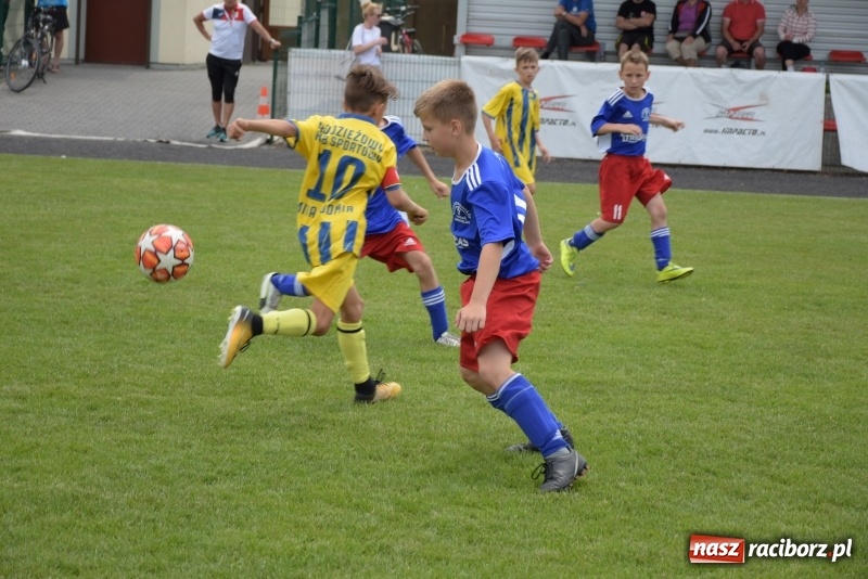 Zdjęcie w galerii na portalu naszraciborz.pl: Tworków Cup 2019. Zmagania rocznika 2009 wiadomości z regionu