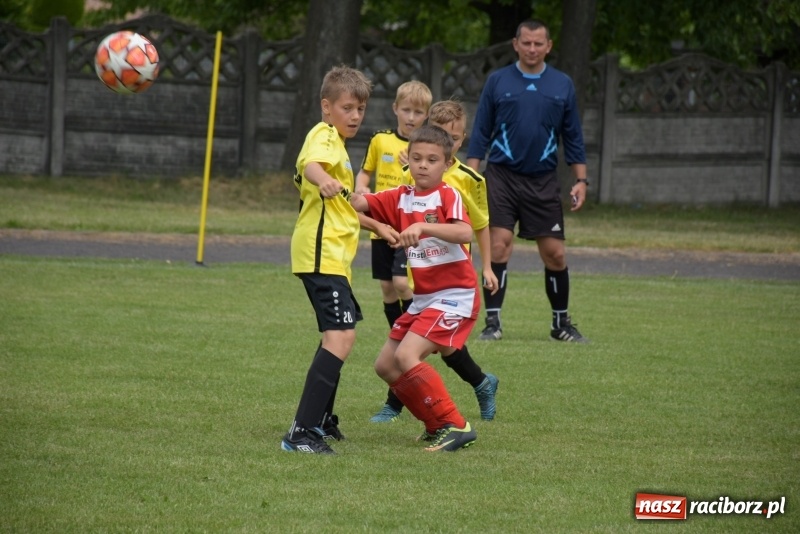 Zdjęcie w galerii na portalu naszraciborz.pl: Tworków Cup 2019. Zmagania rocznika 2009 wiadomości z regionu