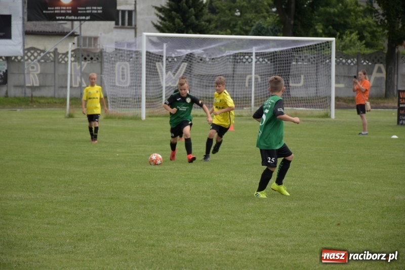 Zdjęcie w galerii na portalu naszraciborz.pl: Tworków Cup 2019. Zmagania rocznika 2009 wiadomości z regionu