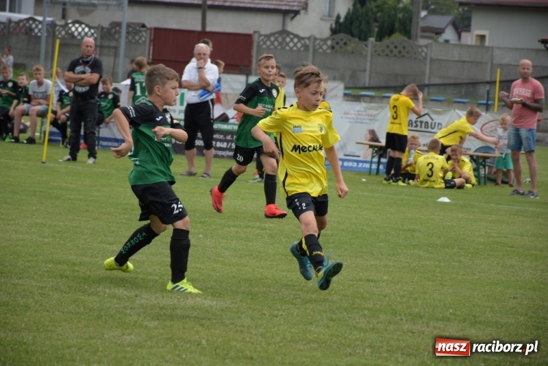 Zdjęcie w galerii na portalu naszraciborz.pl: Tworków Cup 2019. Zmagania rocznika 2009 wiadomości z regionu