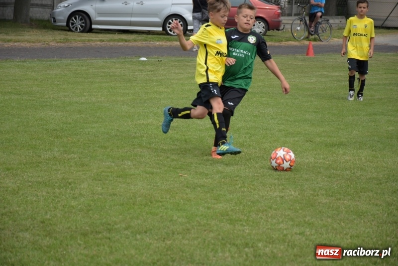 Zdjęcie w galerii na portalu naszraciborz.pl: Tworków Cup 2019. Zmagania rocznika 2009 wiadomości z regionu