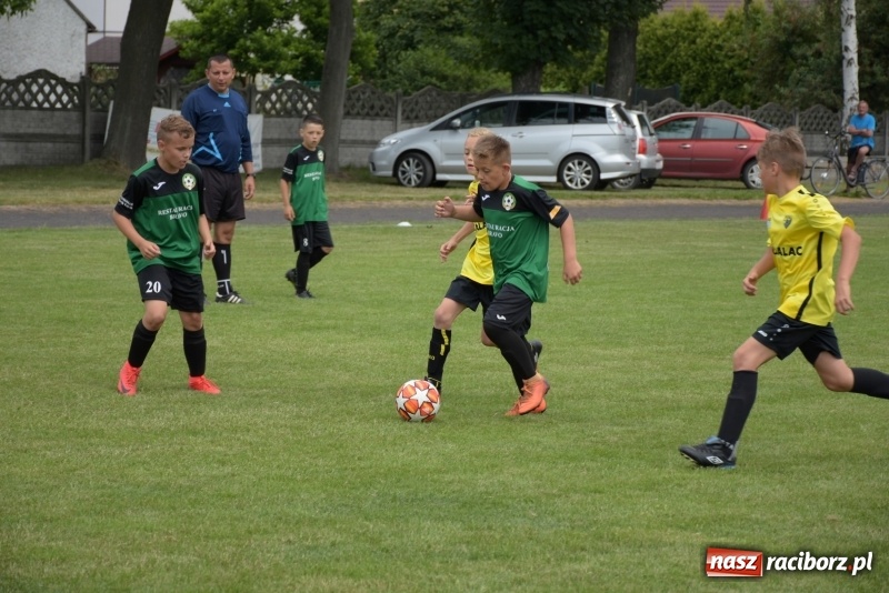 Zdjęcie w galerii na portalu naszraciborz.pl: Tworków Cup 2019. Zmagania rocznika 2009 wiadomości z regionu