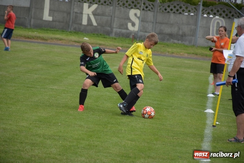 Zdjęcie w galerii na portalu naszraciborz.pl: Tworków Cup 2019. Zmagania rocznika 2009 wiadomości z regionu