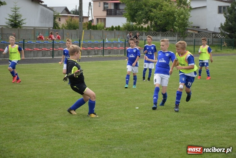 Zdjęcie w galerii na portalu naszraciborz.pl: Tworków Cup 2019. Zmagania rocznika 2009 wiadomości z regionu