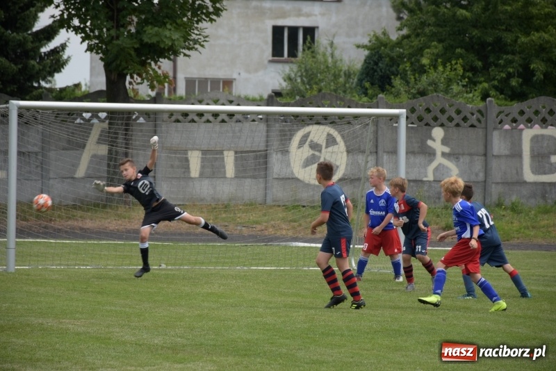 Zdjęcie w galerii na portalu naszraciborz.pl: Tworków Cup 2019. Zmagania rocznika 2009 wiadomości z regionu
